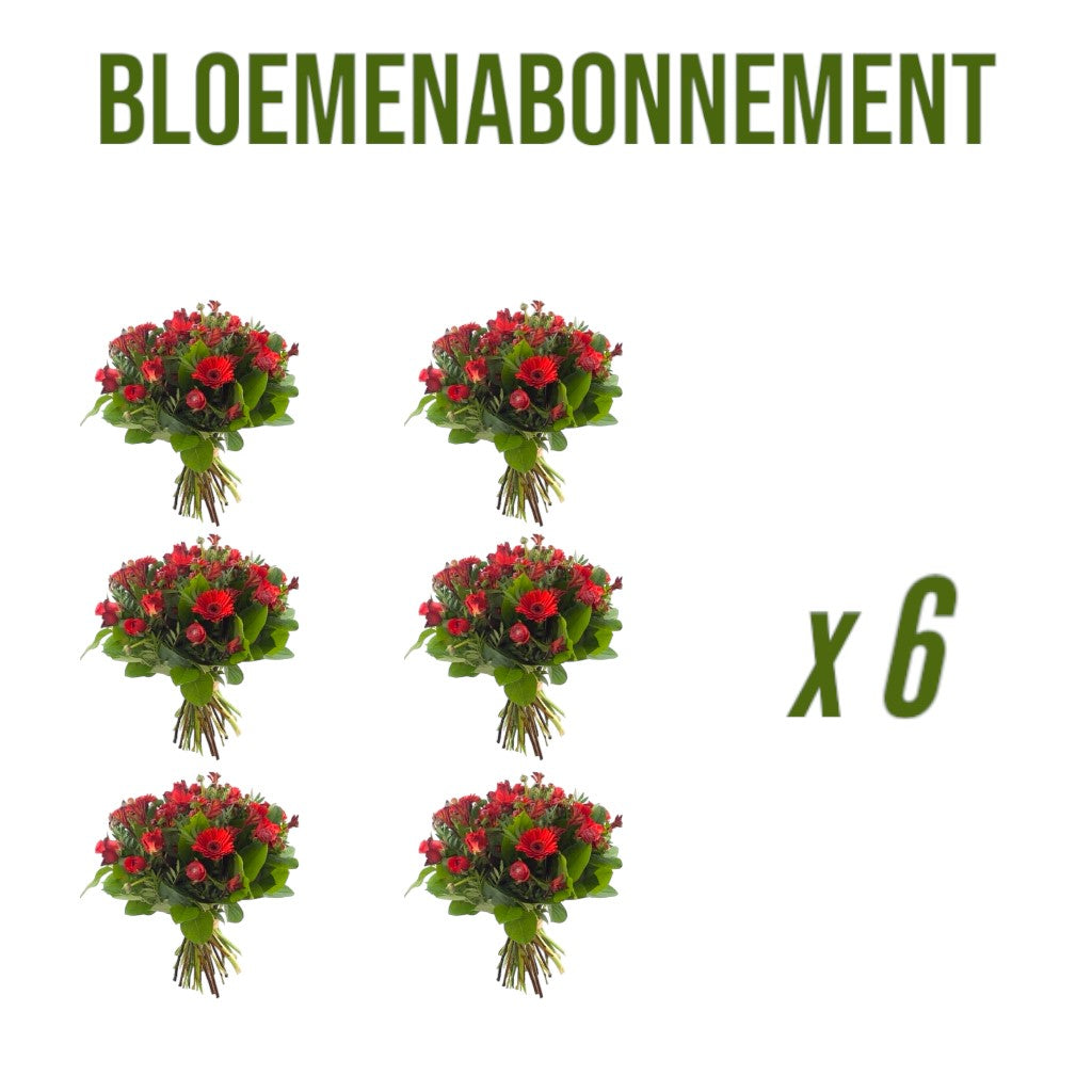 6x Bloemenabonnement